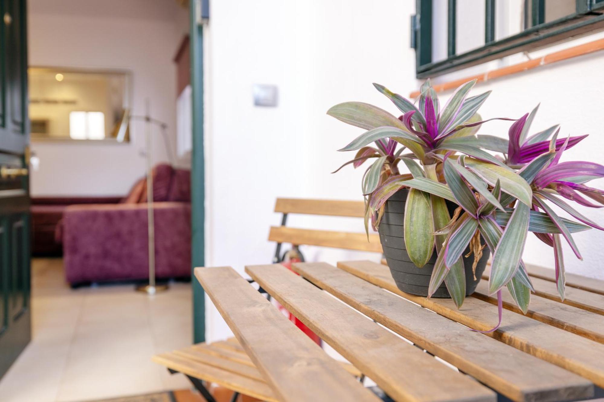 Appartement Trianasol *
